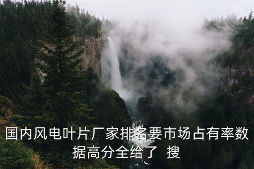 國(guó)內(nèi)風(fēng)電葉片廠家排名要市場(chǎng)占有率數(shù)據(jù)高分全給了  搜