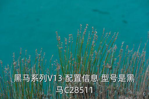黑馬科技智能云臺價格多少，天語黑馬001深圳發(fā)貨價是好多