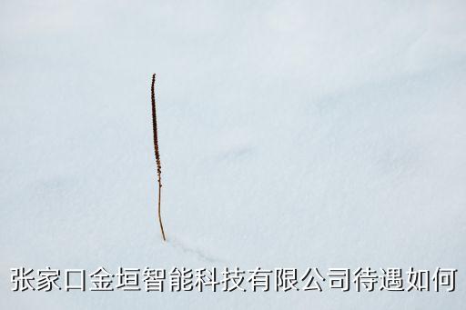 張家口金垣智能科技有限公司待遇如何