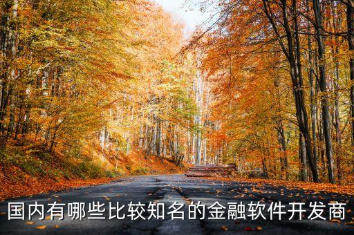 國內(nèi)有哪些比較知名的金融軟件開發(fā)商