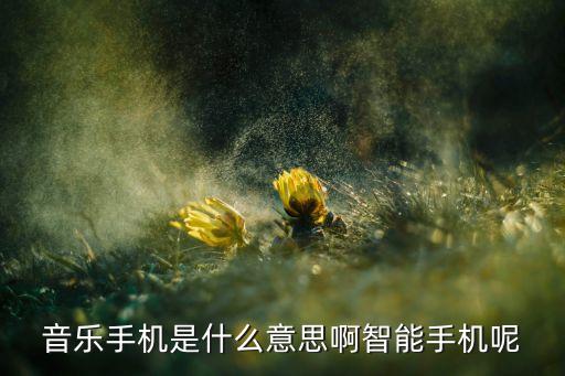 音樂手機(jī)是什么意思啊智能手機(jī)呢