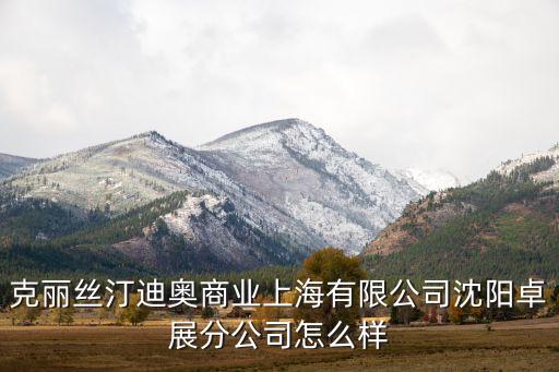 克麗絲汀迪奧商業(yè)上海有限公司沈陽卓展分公司怎么樣