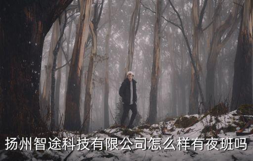 揚(yáng)州智途科技有限公司怎么樣有夜班嗎