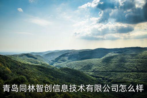 青島林瑞智能科技怎么樣，青島軟件科技公司怎么樣