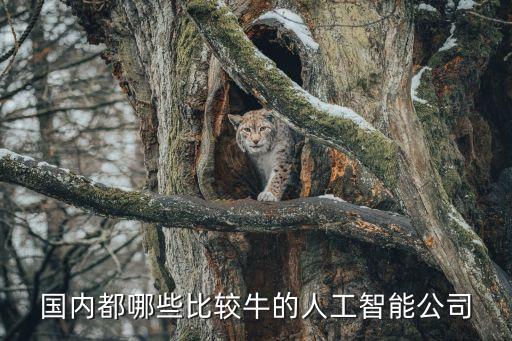 國內都哪些比較牛的人工智能公司