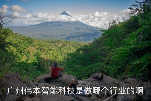 廣州偉本智能科技是做哪個行業(yè)的啊