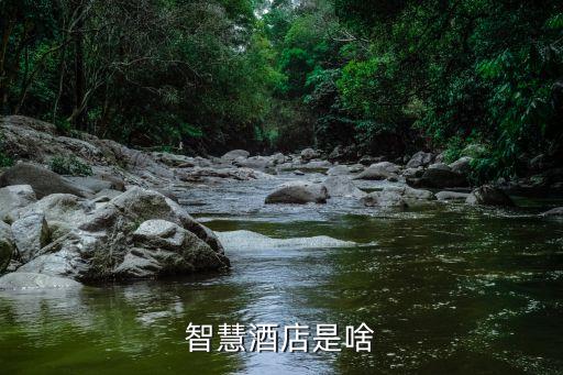 智慧酒店是啥