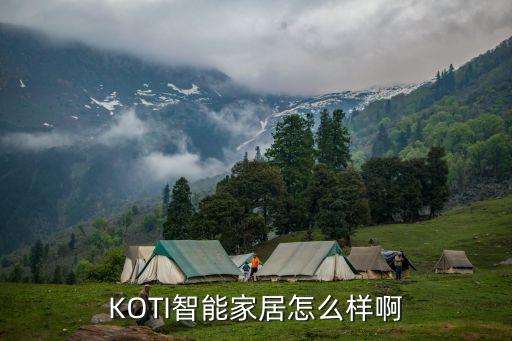 KOTI智能家居怎么樣啊