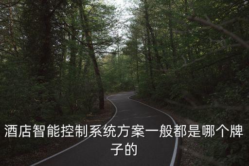 酒店智能控制系統(tǒng)方案一般都是哪個牌子的