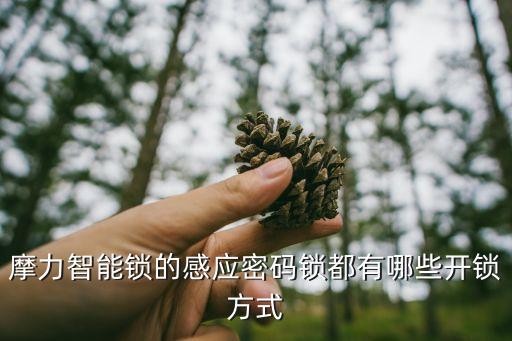 摩力智能鎖的感應(yīng)密碼鎖都有哪些開鎖方式