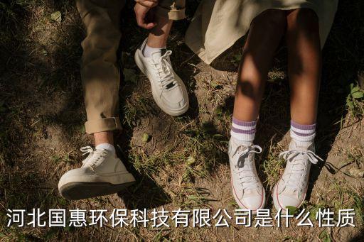 國惠智能科技是做什么的，河北國惠環(huán)?？萍加邢薰臼鞘裁葱再|(zhì)