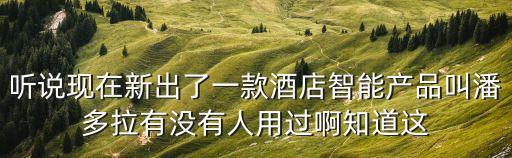 聽(tīng)說(shuō)現(xiàn)在新出了一款酒店智能產(chǎn)品叫潘多拉有沒(méi)有人用過(guò)啊知道這
