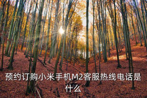 預(yù)約訂購(gòu)小米手機(jī)M2客服熱線電話(huà)是什么