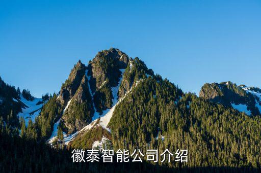徽泰智能公司介紹