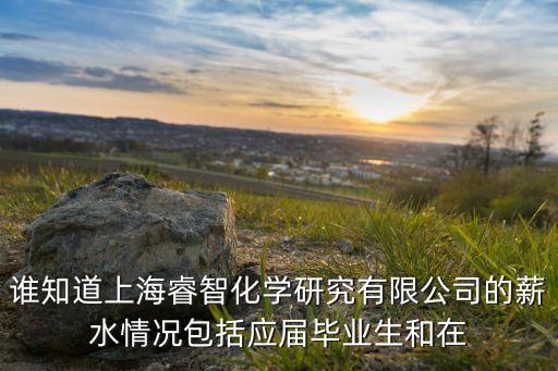 誰(shuí)知道上海睿智化學(xué)研究有限公司的薪水情況包括應(yīng)屆畢業(yè)生和在