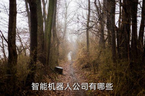 智能機器人公司有哪些