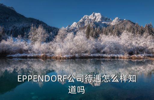 EPPENDORF公司待遇怎么樣知道嗎