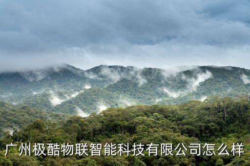 廣州極酷物聯(lián)智能科技有限公司怎么樣