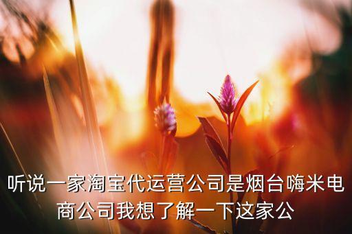 聽說一家淘寶代運(yùn)營(yíng)公司是煙臺(tái)嗨米電商公司我想了解一下這家公