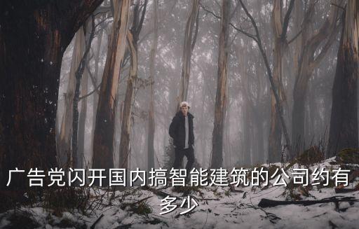 建筑智能機(jī)器人科技公司有哪些，智能機(jī)器人公司有哪些
