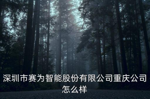 深圳市賽為智能股份有限公司重慶公司怎么樣