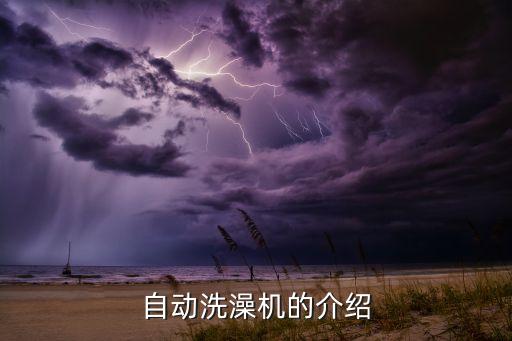 自動(dòng)洗澡機(jī)的介紹