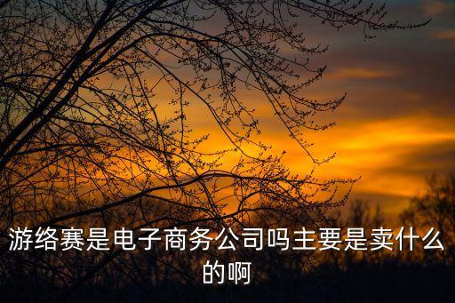 游絡(luò)賽是電子商務(wù)公司嗎主要是賣什么的啊