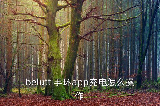 belutti手環(huán)app充電怎么操作