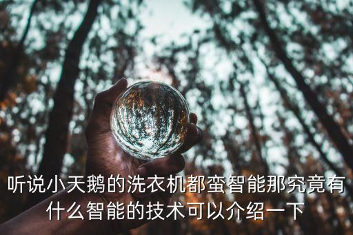 聽說小天鵝的洗衣機都蠻智能那究竟有什么智能的技術(shù)可以介紹一下