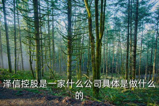 澤信控股是一家什么公司具體是做什么的