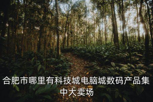 合肥市哪里有科技城電腦城數(shù)碼產(chǎn)品集中大賣(mài)場(chǎng)