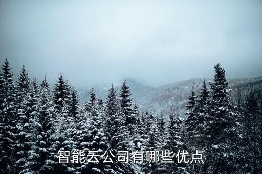 智能云公司有哪些優(yōu)點(diǎn)