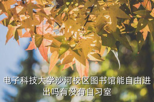 得輝達智能科技住哪里，電子科技大學沙河校區(qū)圖書館能自由進出嗎有沒有自習室