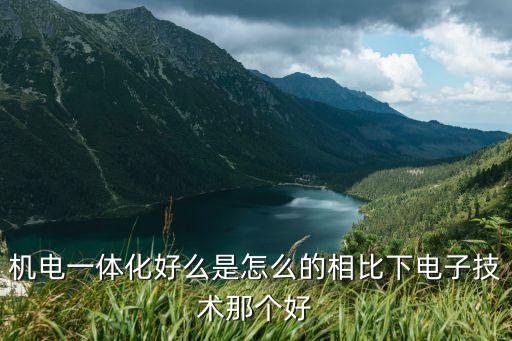 機電一體化好么是怎么的相比下電子技術那個好