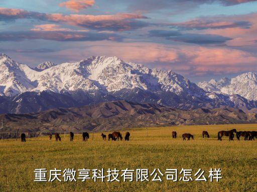 重慶微享科技有限公司怎么樣
