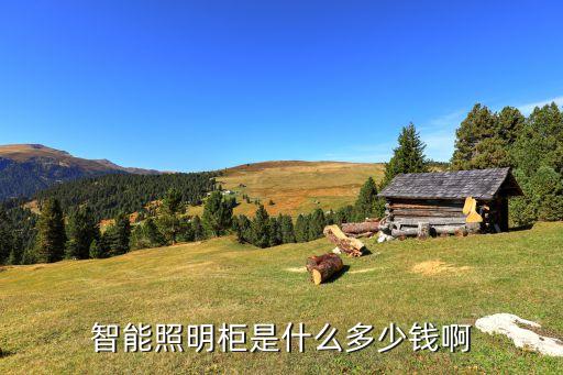 智能照明柜是什么多少錢啊