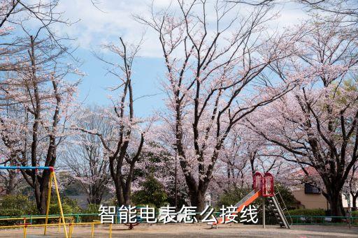 智能電表怎么接線