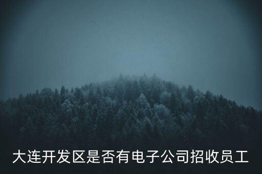 大連開發(fā)區(qū)是否有電子公司招收員工