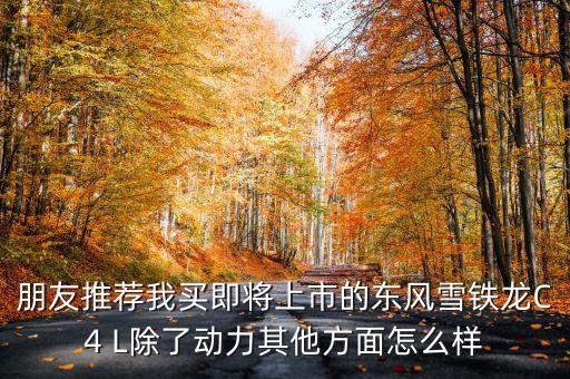 揚(yáng)州創(chuàng)濤智能科技怎么樣，朋友推薦我買即將上市的東風(fēng)雪鐵龍C4 L除了動(dòng)力其他方面怎么樣
