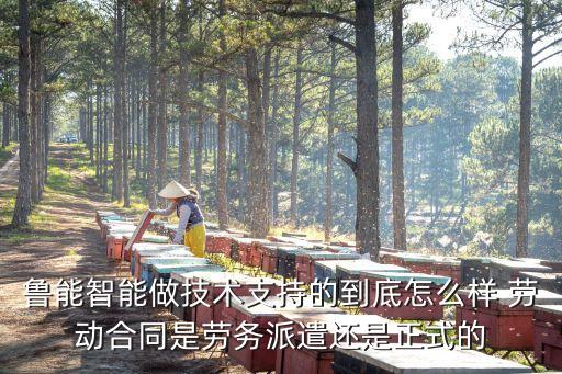 魯能智能做技術(shù)支持的到底怎么樣 勞動合同是勞務(wù)派遣還是正式的