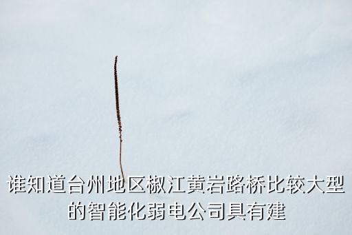 誰(shuí)知道臺(tái)州地區(qū)椒江黃巖路橋比較大型的智能化弱電公司具有建