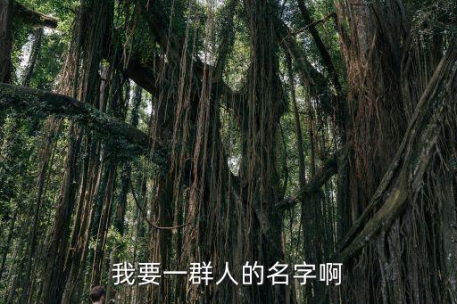 我要一群人的名字啊