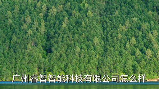 廣州睿智智能科技有限公司怎么樣