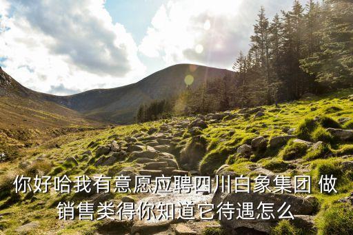 你好哈我有意愿應聘四川白象集團 做銷售類得你知道它待遇怎么