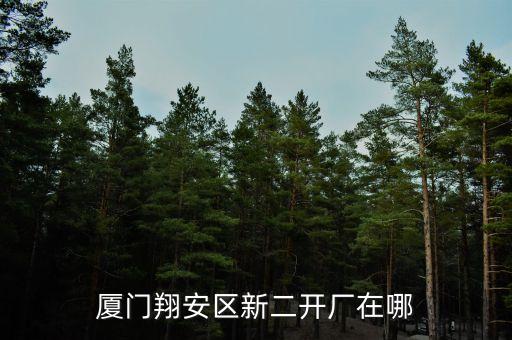 廈門翔安區(qū)新二開廠在哪