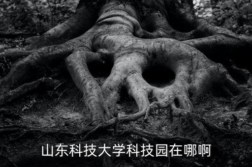 山科智能科技地址在哪里，山科大地址是哪里