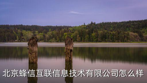 北京蜂信互聯(lián)信息技術(shù)有限公司怎么樣