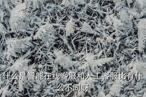 什么是智能在線客服和人工客服比有什么不同呀