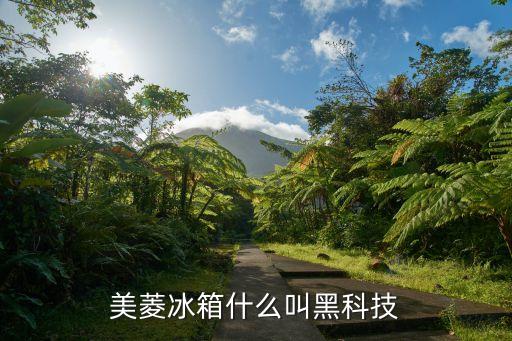 美菱冰箱什么叫黑科技