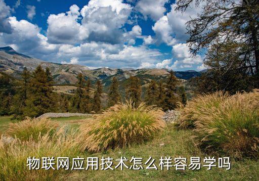 物聯網應用技術怎么樣容易學嗎